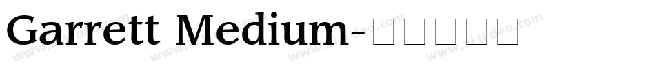 Garrett Medium字体转换
